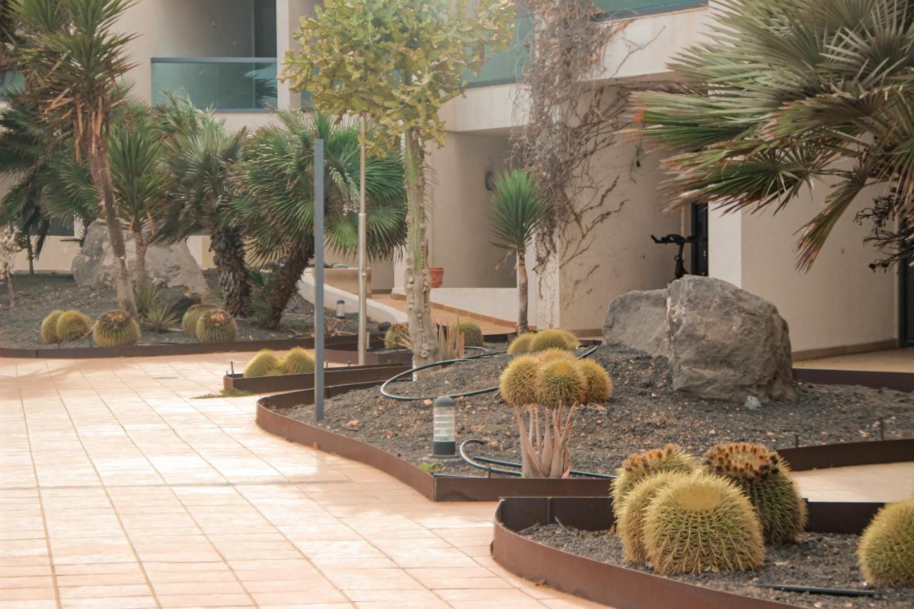 Casa Aloe Vera Cotillo Εξωτερικό φωτογραφία